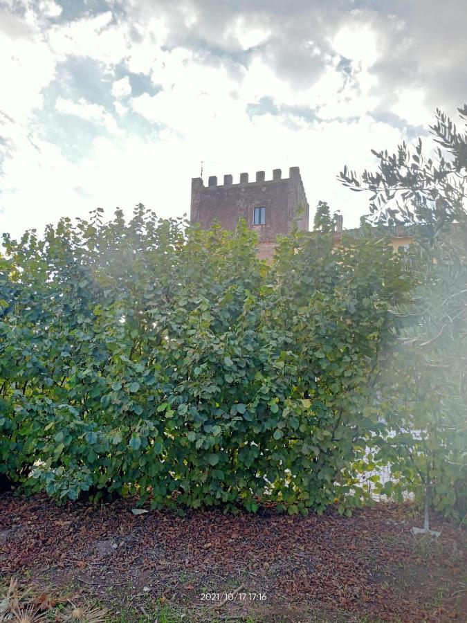 La Torre Di Barbara Villa Ardea Exterior photo